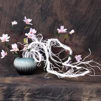 uploads/erp/collection/images/Home Garden/CongDing/XU0611319/img_b/XU0611319_img_b_3
